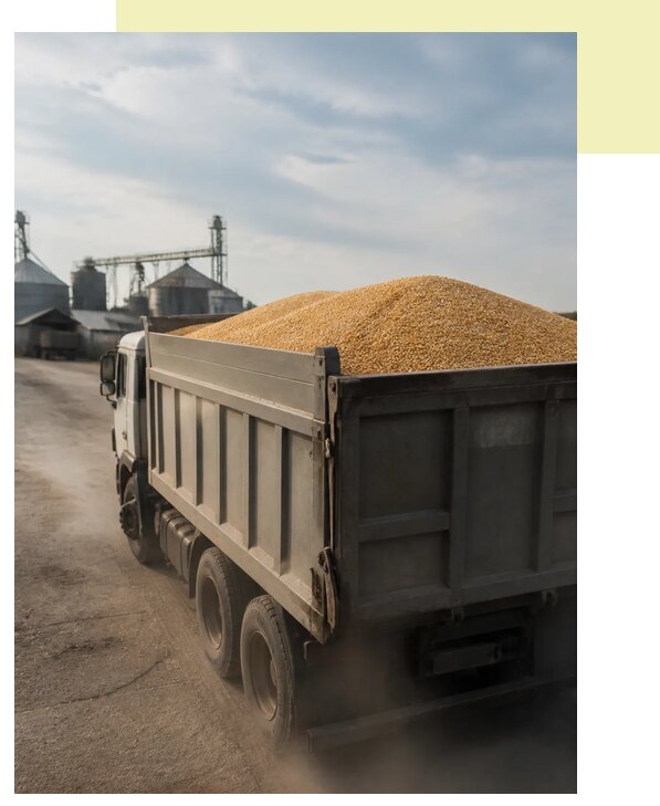 Перевозка сельхозпродукции навалом в Темрюк по цене от 3088 р. | Агросервис-Тмр