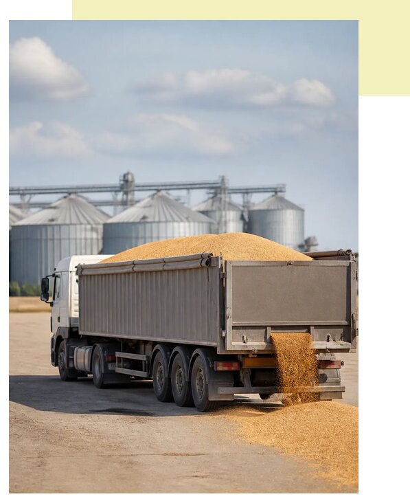 Перевозка пшеницы автотранспортом в Темрюк по цене от 5507 р. | Агросервис-Тмр
